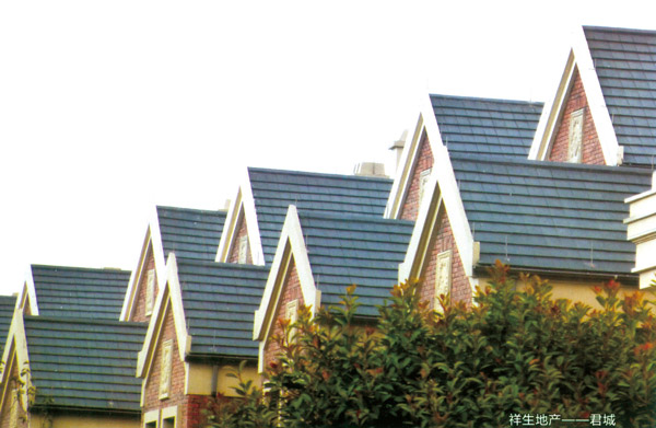 祥生地產(chǎn)-君城案例