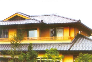 英紅彩瓦廠(chǎng)案例